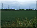 Farmland, Fledborough Farm