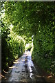 North Somerset : Country Road