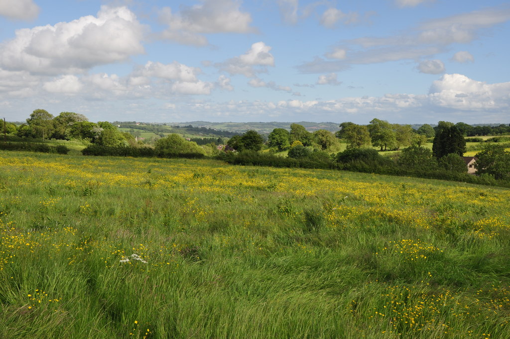 North Somerset : Grassy Field © Lewis Clarke :: Geograph Britain and ...