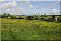 North Somerset : Grassy Field