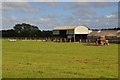 North Somerset : Downside Farm