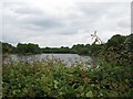 Black Heath Pond