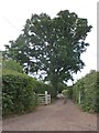 Access road to Cutley Farm