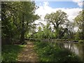 Basingstoke Canal