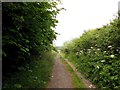 SE4623 : View down Holmfield Lane towards the M62 by Bill Henderson