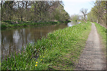 NT1570 : Union Canal by Anne Burgess