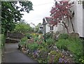 Pretty cottage garden, Church Lane