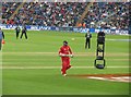 Ravi Bopara and the spider camera