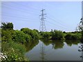 SE3722 : Fishing Pond off  Newland Lane by Bill Henderson