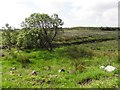 Creggandevesky Townland