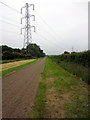 Pylon by a horse track