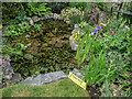 Pond in Garden in Halfhides, Waltham Abbey, Essex