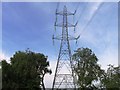 Pylon