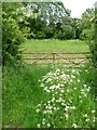 SK9319 : Field gate on the south side of Broadgate Road by Christine Johnstone