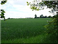 SP1754 : Field at Hansell Farm by Nigel Mykura