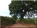 Uppincott Lane east of Chapletown Cross