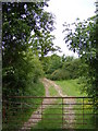 Footpath to Church Lane