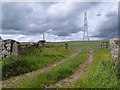 Gateway and pylon near Ruffers Close