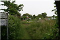 Allotments by Brooks Lane