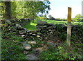 SK4715 : Footpath and dry stone wall at Cat Hill Wood by Mat Fascione