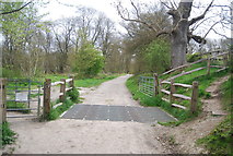 TQ6868 : Entrance to woodland, Cobham Park by N Chadwick