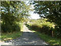 Road to Green Court near Llanellen