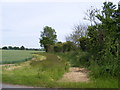 TM4380 : Footpath to the A145 London Road by Geographer