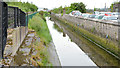 The canal, Newtownards (2013-6)