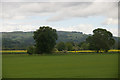 Fields near Myreside, near Glendoick