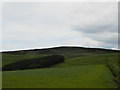 Farmland near Easter Denoon