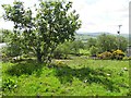 Glencoppogagh Townland