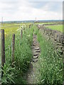 Footpath - Fleet Lane