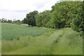 Footpath to Mill Hill