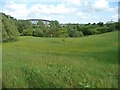 Open space, east of Saxon Avenue, Grange Park