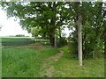 Footpath to Sallets Farm