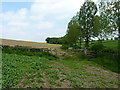 On the footpath from Lingcroft to Longden