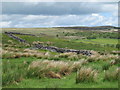 NT9100 : Rough pastures and moorland west of South Yardhope by Mike Quinn
