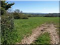 Field by Huntley Lane