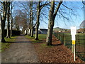 Tree-lined path, Victory Park, Cainscross