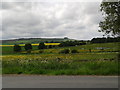 Looking towards Barbury Castle