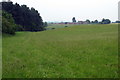 View of plantation with Old Farm in the distance