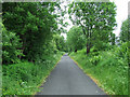 Cycle path at Elderslie