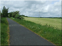 NS4264 : National Cycle Network Route 75 by Thomas Nugent