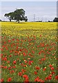 Field near High Catton