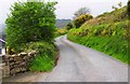 R6779 : Road to Ballylaghnan, Co. Clare by P L Chadwick