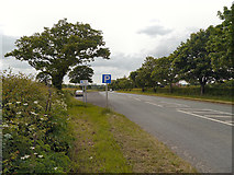SJ6784 : Lay By on the A50 near Lymm by David Dixon