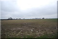 Muddy field off Sheerwater Rd