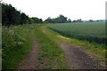 Farm track off Great Lane