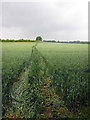 Footpath to Great Lane