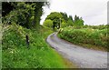 R6678 : Road to Ballybroghan, Co. Clare by P L Chadwick